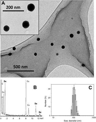 Antimycobacterial Effect of Selenium Nanoparticles on Mycobacterium tuberculosis